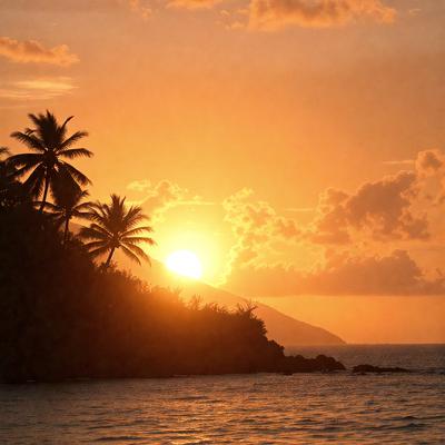Primary subject: Sunset
Setting/background: Ocean, palm trees, and mountains
Visual style: Photo
Colors and mood: Orange, yellow, and warm tones, creating a serene and picturesque atmosphere.